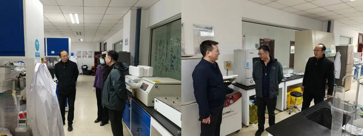 1680582335950031774.jpg 31.jpg